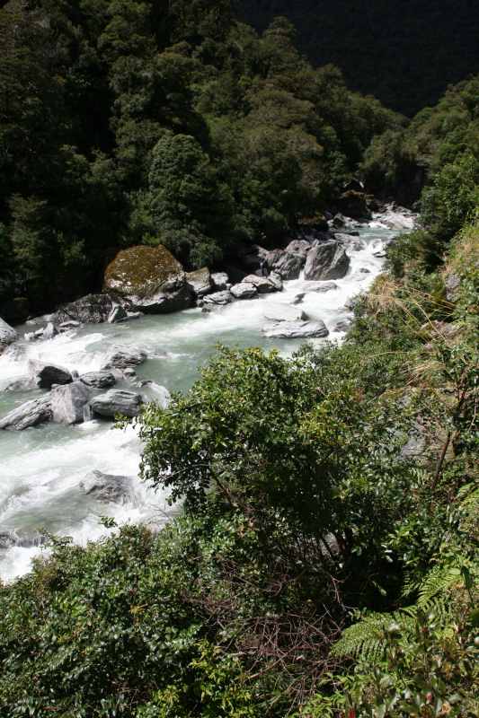Nieuw-Zeeland 2011 - 1567